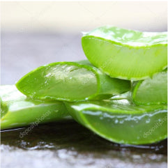 ALOE VERA <br> EXTRACT