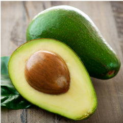 AVOCADO <br> OIL